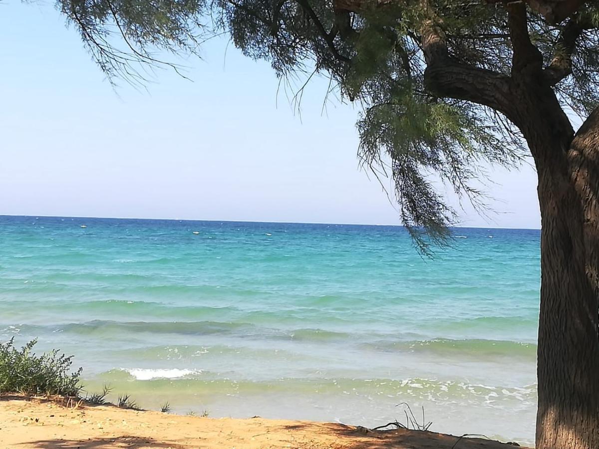 Tra Vento E Mare Lägenhet Lendinuso Exteriör bild